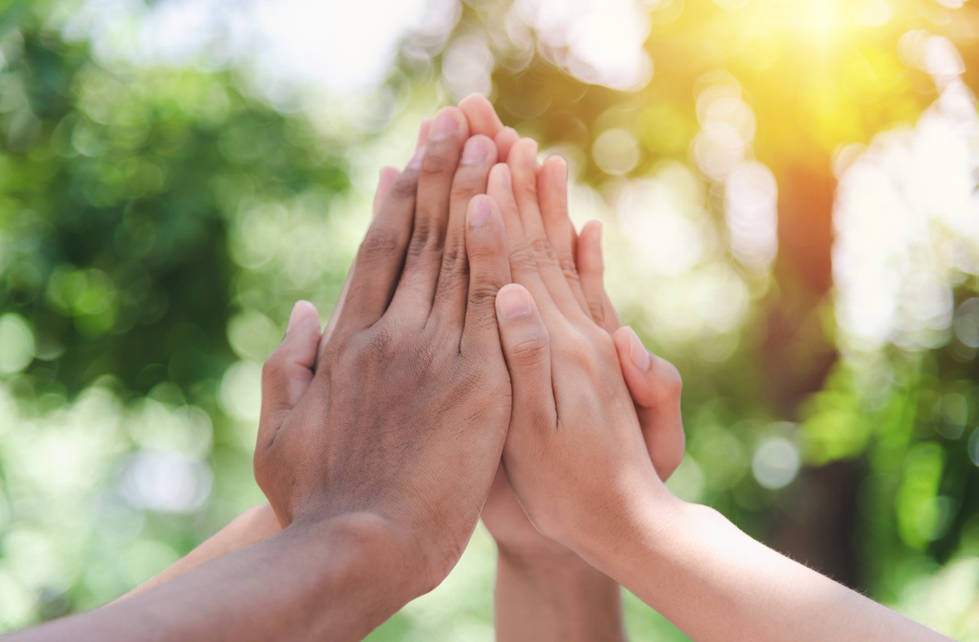 Trygghet och kvalitet