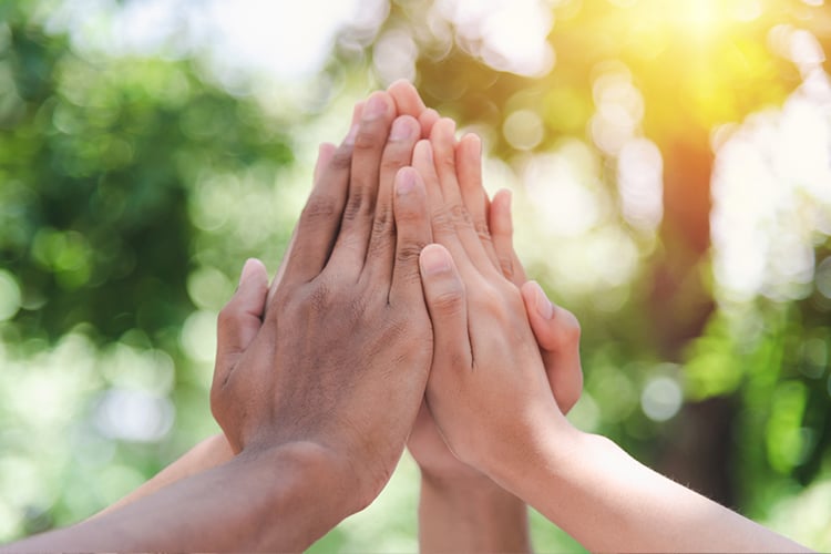 Speed nominerad till Symbiosis Awards