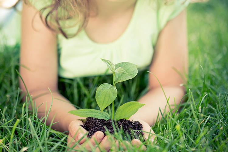 Hållbarhetsrapport 2021: Ett otroligt år på många sätt.